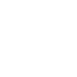 Hammerli fegyverek