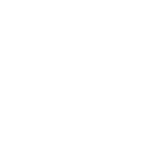 Tanfoglio fegyverek